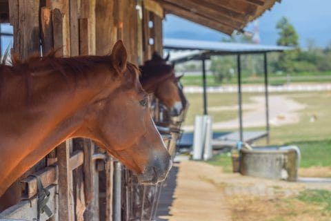 Hobby farm loans